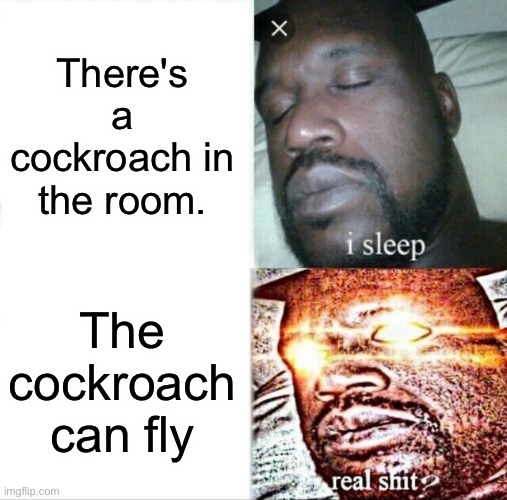 I will burn my house when I see a flying cockroach. | There's a cockroach in the room. The cockroach can fly | image tagged in memes,sleeping shaq | made w/ Imgflip meme maker