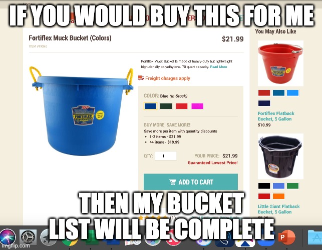 bucket list |  IF YOU WOULD BUY THIS FOR ME; THEN MY BUCKET LIST WILL BE COMPLETE | image tagged in bucket list,bucket | made w/ Imgflip meme maker