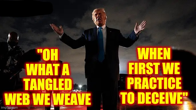 Liar In Chief | "OH WHAT A TANGLED WEB WE WEAVE; WHEN FIRST WE PRACTICE TO DECEIVE" | image tagged in memes,trump unfit unqualified dangerous,liar in chief,trump lies,liars,covid-19 | made w/ Imgflip meme maker