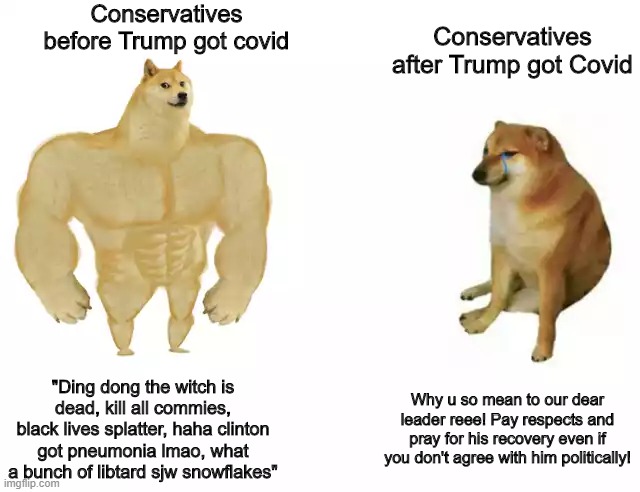 Conservatives policing morality is the funniest thing I've ever seen. They just pretend pre Trump covid diagnosis them never exi | Conservatives before Trump got covid; Conservatives after Trump got Covid; "Ding dong the witch is dead, kill all commies, black lives splatter, haha clinton got pneumonia lmao, what a bunch of libtard sjw snowflakes"; Why u so mean to our dear leader reee! Pay respects and pray for his recovery even if you don't agree with him politically! | image tagged in buff doge vs cheems | made w/ Imgflip meme maker