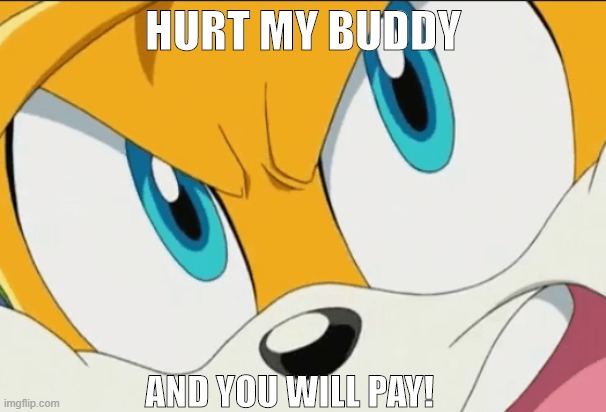 What a true Hero. | HURT MY BUDDY; AND YOU WILL PAY! | image tagged in shouting tails | made w/ Imgflip meme maker