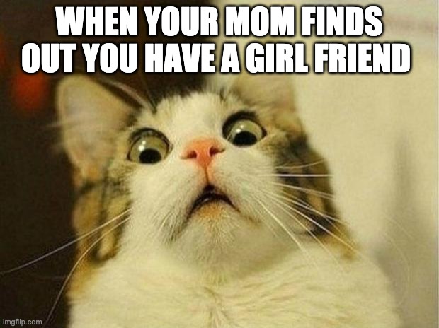 Scared Cat | WHEN YOUR MOM FINDS OUT YOU HAVE A GIRL FRIEND | image tagged in memes,scared cat | made w/ Imgflip meme maker