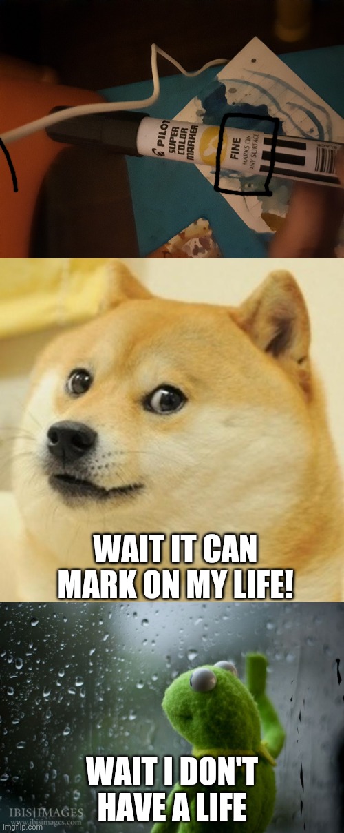 Oof | WAIT IT CAN MARK ON MY LIFE! WAIT I DON'T HAVE A LIFE | image tagged in memes,doge,kermit window | made w/ Imgflip meme maker