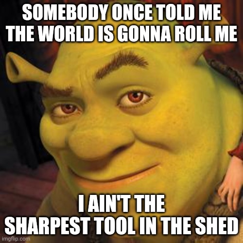 All Star By Smash Mouth | SOMEBODY ONCE TOLD ME THE WORLD IS GONNA ROLL ME; I AIN'T THE SHARPEST TOOL IN THE SHED | image tagged in shrek sexy face | made w/ Imgflip meme maker