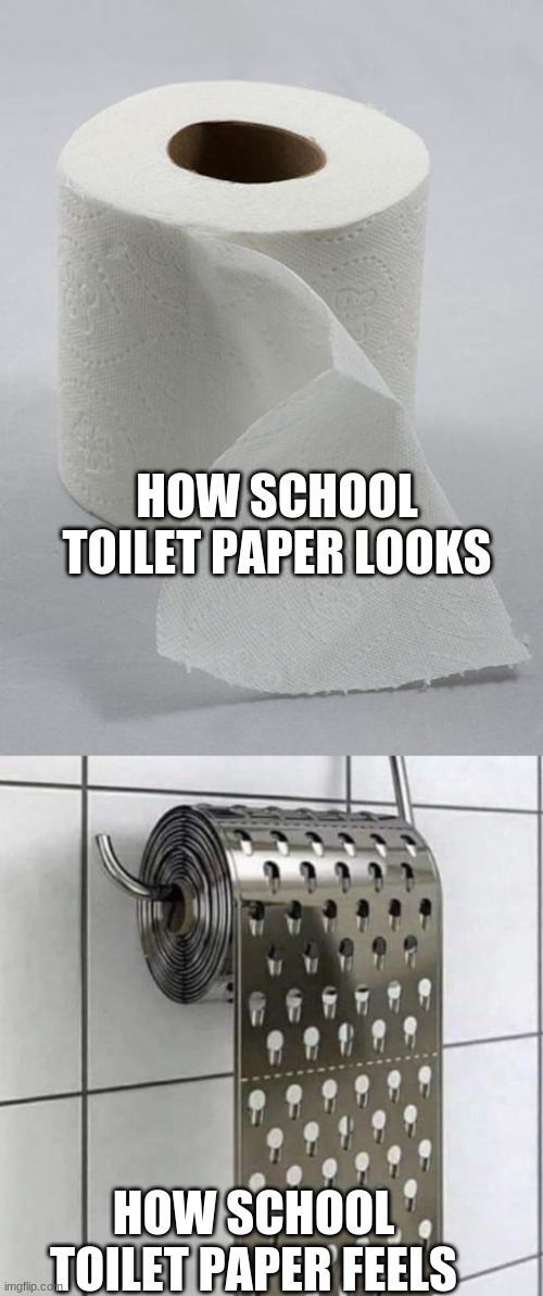 toilet paper | HOW SCHOOL TOILET PAPER LOOKS; HOW SCHOOL TOILET PAPER FEELS | image tagged in toilet paper,school,funny | made w/ Imgflip meme maker