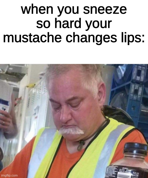 AH AH AH... AHCHOO! | when you sneeze so hard your mustache changes lips: | image tagged in blank white template,funny,memes,funny memes,sneeze,mustache | made w/ Imgflip meme maker