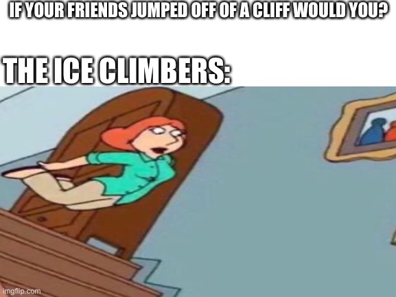 Smash Bros Meme | IF YOUR FRIENDS JUMPED OFF OF A CLIFF WOULD YOU? THE ICE CLIMBERS: | image tagged in super smash bros | made w/ Imgflip meme maker