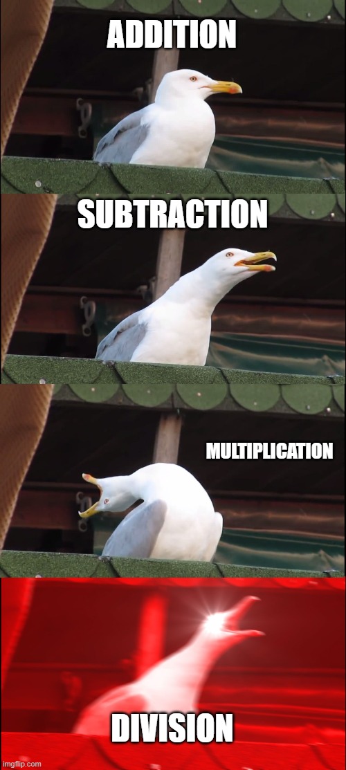 Crappy Division | ADDITION; SUBTRACTION; MULTIPLICATION; DIVISION | image tagged in memes,inhaling seagull | made w/ Imgflip meme maker