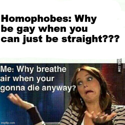 Homophobes: Why be gay when you can just be straight??? | image tagged in homophobe,gay,gay pride,breathe | made w/ Imgflip meme maker