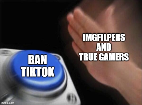 Blank Nut Button Meme | IMGFILPERS AND TRUE GAMERS; BAN TIKTOK | image tagged in memes,blank nut button | made w/ Imgflip meme maker