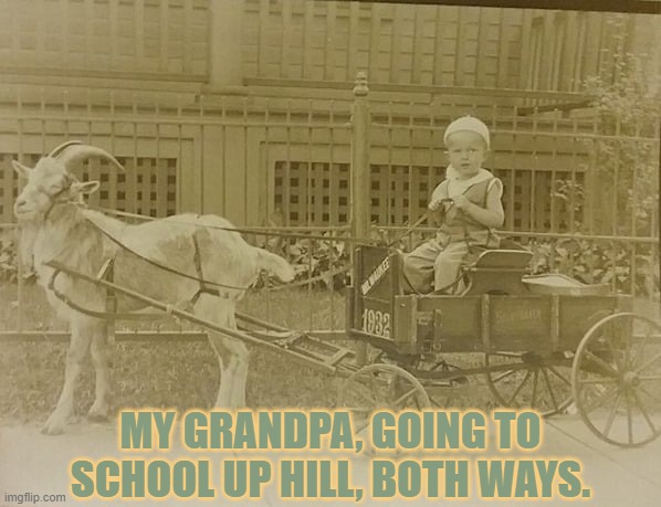 My Grandpa Going To school Up Hill Both Ways | MY GRANDPA, GOING TO SCHOOL UP HILL, BOTH WAYS. | image tagged in my grandpa going to school up hill both ways,the meme zone,classic memes | made w/ Imgflip meme maker