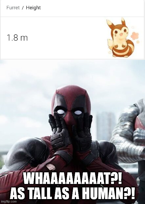 WHAAAAAAAAT?! AS TALL AS A HUMAN?! | image tagged in memes,deadpool surprised | made w/ Imgflip meme maker