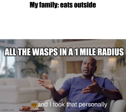 And i took that personally | My family: eats outside; ALL THE WASPS IN A 1 MILE RADIUS | image tagged in and i took that personally | made w/ Imgflip meme maker