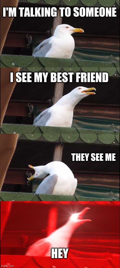 H E Y | I'M TALKING TO SOMEONE; I SEE MY BEST FRIEND; THEY SEE ME; HEY | image tagged in memes,inhaling seagull | made w/ Imgflip meme maker