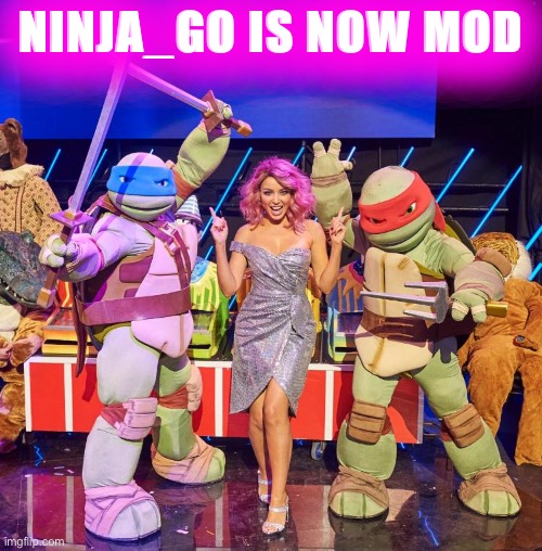 Tl;dr Cowabunga | NINJA_GO IS NOW MOD | image tagged in dannii ninja turtles,ninja,imgflip mods | made w/ Imgflip meme maker