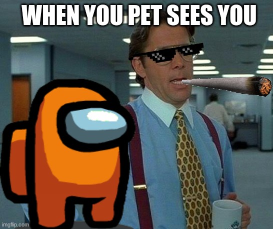 That Would Be Great | WHEN YOU PET SEES YOU | image tagged in memes,that would be great | made w/ Imgflip meme maker