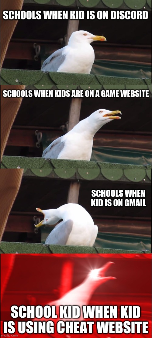 Inhaling Seagull | SCHOOLS WHEN KID IS ON DISCORD; SCHOOLS WHEN KIDS ARE ON A GAME WEBSITE; SCHOOLS WHEN KID IS ON GMAIL; SCHOOL KID WHEN KID IS USING CHEAT WEBSITE | image tagged in memes,inhaling seagull | made w/ Imgflip meme maker