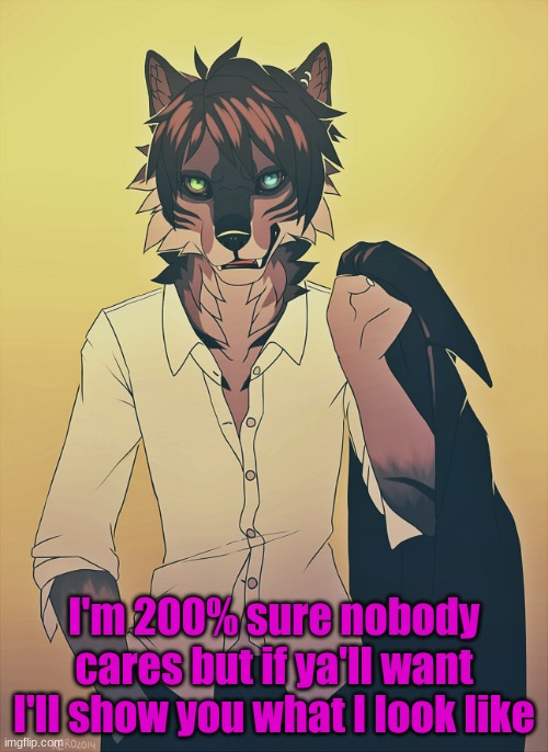 I know nobody cares but I figured I'd ask because everywhere I look I see face reveals. | I'm 200% sure nobody cares but if ya'll want I'll show you what I look like | made w/ Imgflip meme maker