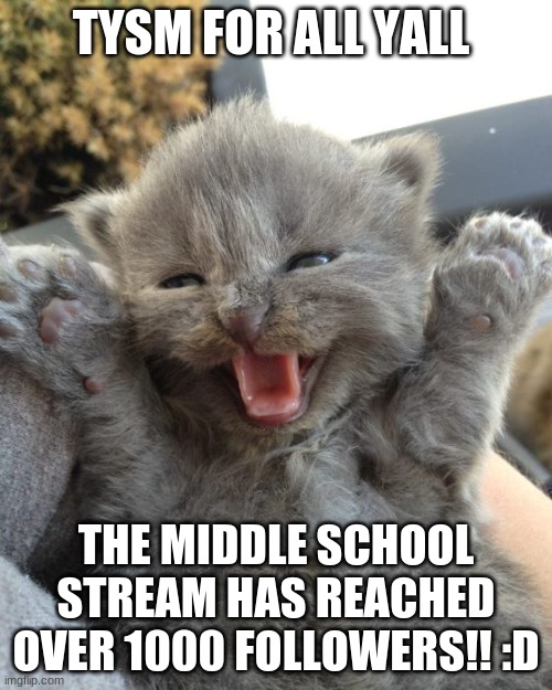 WOOOOOOOOOOOOOOO!!!!!!!! | TYSM FOR ALL YALL; THE MIDDLE SCHOOL STREAM HAS REACHED OVER 1000 FOLLOWERS!! :D | image tagged in yay kitty | made w/ Imgflip meme maker