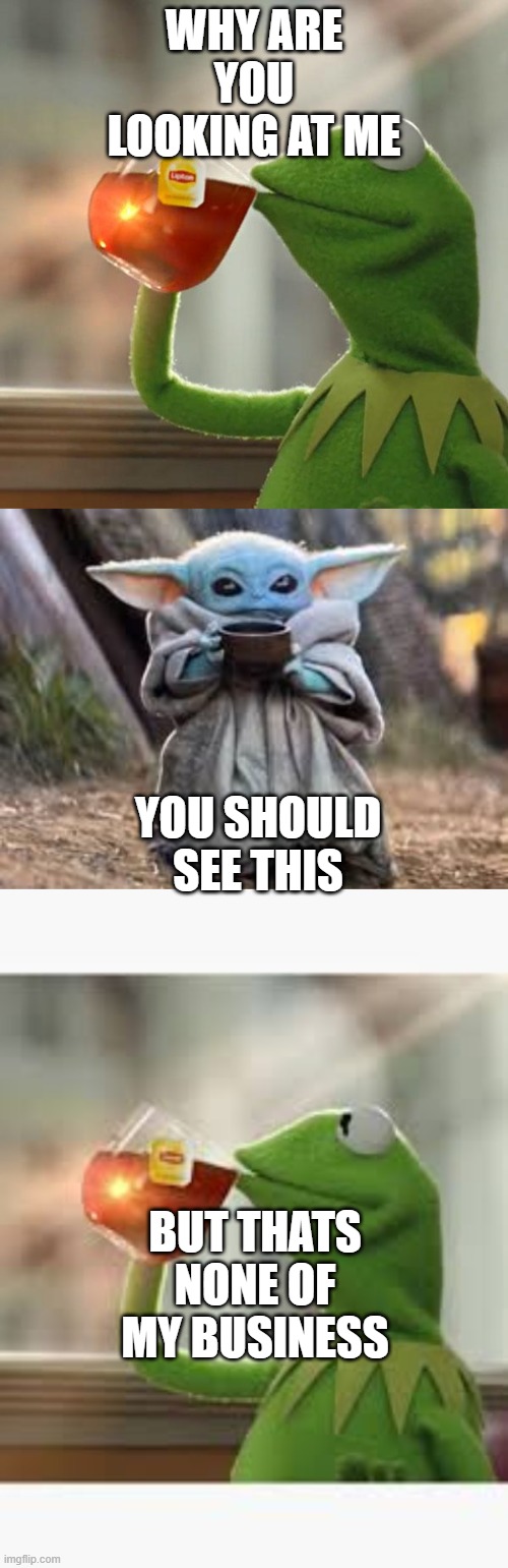 baby yoda or kermit | WHY ARE YOU LOOKING AT ME; YOU SHOULD SEE THIS; BUT THATS NONE OF MY BUSINESS | image tagged in memes,but that's none of my business | made w/ Imgflip meme maker