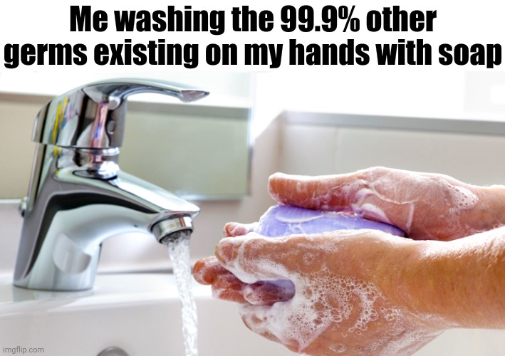 Washing Hands | Me washing the 99.9% other germs existing on my hands with soap | image tagged in washing hands,memes,meme,comment section,comments,comment | made w/ Imgflip meme maker