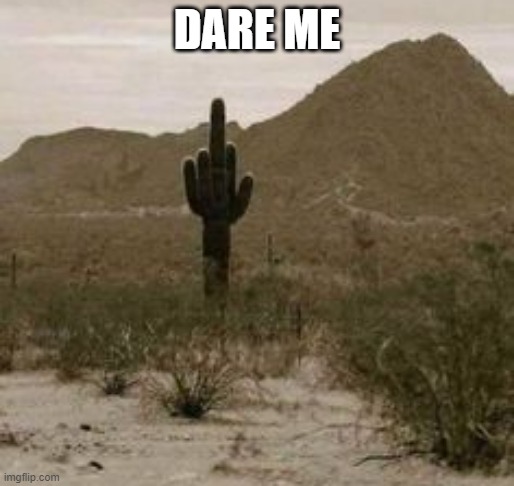 Cactus middle finger | DARE ME | image tagged in cactus middle finger | made w/ Imgflip meme maker