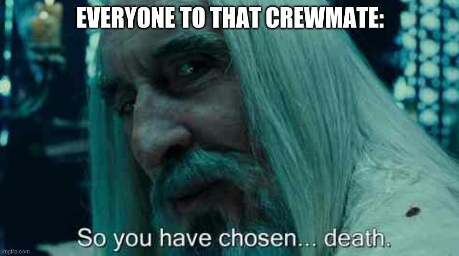So you have chosen death | EVERYONE TO THAT CREWMATE: | image tagged in so you have chosen death | made w/ Imgflip meme maker