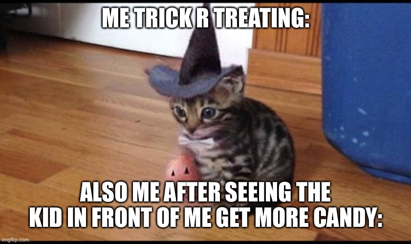 Spooky | ME TRICK R TREATING:; ALSO ME AFTER SEEING THE KID IN FRONT OF ME GET MORE CANDY: | image tagged in halloween cat | made w/ Imgflip meme maker