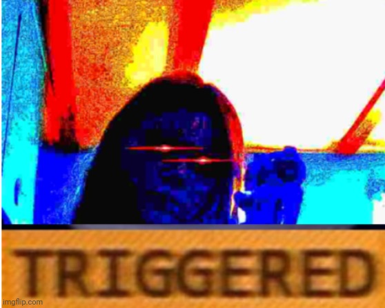 LaceyRobbins1 triggered | image tagged in laceyrobbins1 triggered | made w/ Imgflip meme maker