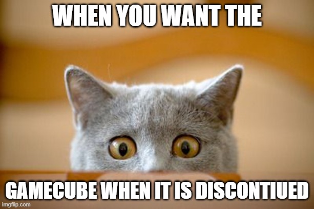 TOM CAT WAS HAVING A WORRY | WHEN YOU WANT THE; GAMECUBE WHEN IT IS DISCONTIUED | image tagged in tom cat was having a worry | made w/ Imgflip meme maker