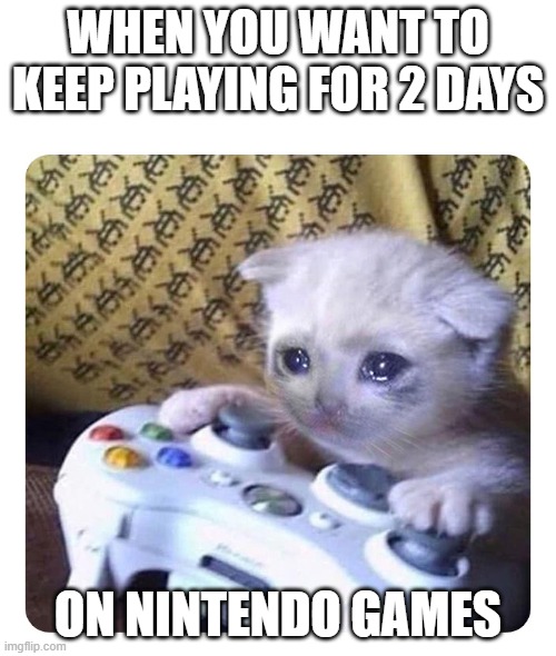 Cat gamer | WHEN YOU WANT TO KEEP PLAYING FOR 2 DAYS; ON NINTENDO GAMES | image tagged in cat gamer | made w/ Imgflip meme maker