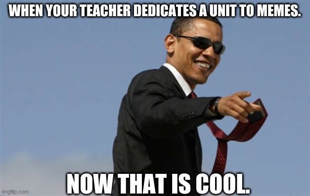 Some teachers rock. |  WHEN YOUR TEACHER DEDICATES A UNIT TO MEMES. NOW THAT IS COOL. | image tagged in memes,cool obama | made w/ Imgflip meme maker