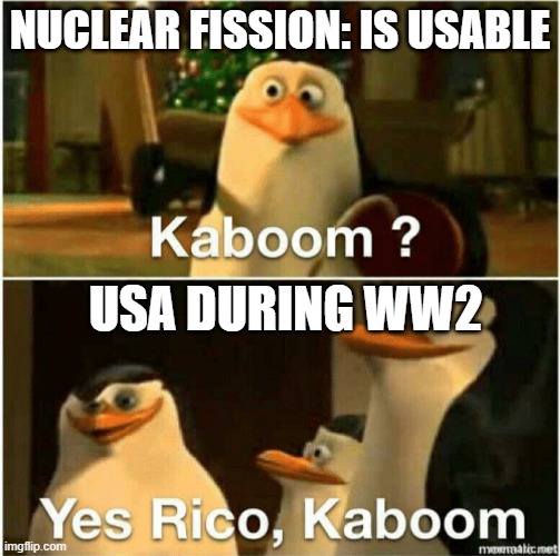 Nuclear fission | NUCLEAR FISSION: IS USABLE; USA DURING WW2 | image tagged in kaboom yes rico kaboom | made w/ Imgflip meme maker