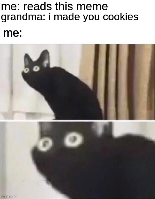 Oh No Black Cat | me: reads this meme grandma: i made you cookies me: | image tagged in oh no black cat | made w/ Imgflip meme maker