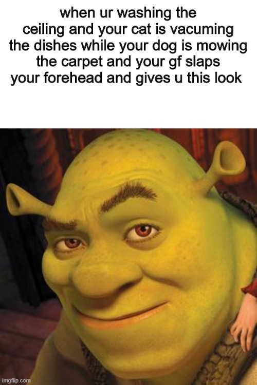 shrek likes that | when ur washing the ceiling and your cat is vacuming the dishes while your dog is mowing the carpet and your gf slaps your forehead and gives u this look | image tagged in shrek sexy face | made w/ Imgflip meme maker