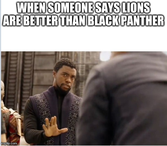 We don't do that here | WHEN SOMEONE SAYS LIONS ARE BETTER THAN BLACK PANTHER | image tagged in we don't do that here | made w/ Imgflip meme maker