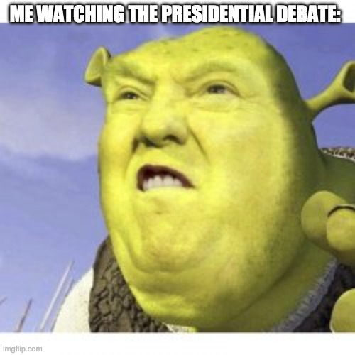 ME WATCHING THE PRESIDENTIAL DEBATE: | image tagged in donal trump | made w/ Imgflip meme maker