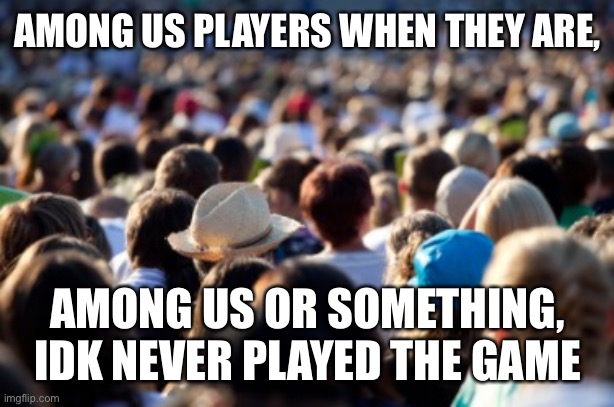Among us players be like | AMONG US PLAYERS WHEN THEY ARE, AMONG US OR SOMETHING, IDK NEVER PLAYED THE GAME | image tagged in big crowd | made w/ Imgflip meme maker