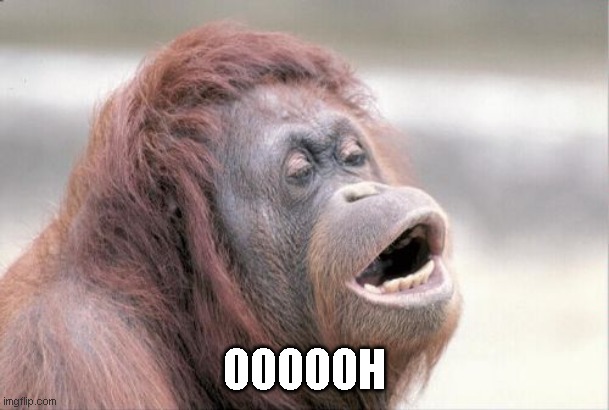 Monkey OOH Meme | OOOOOH | image tagged in memes,monkey ooh | made w/ Imgflip meme maker