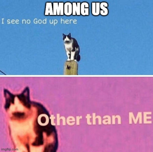 Hail pole cat | AMONG US | image tagged in hail pole cat | made w/ Imgflip meme maker