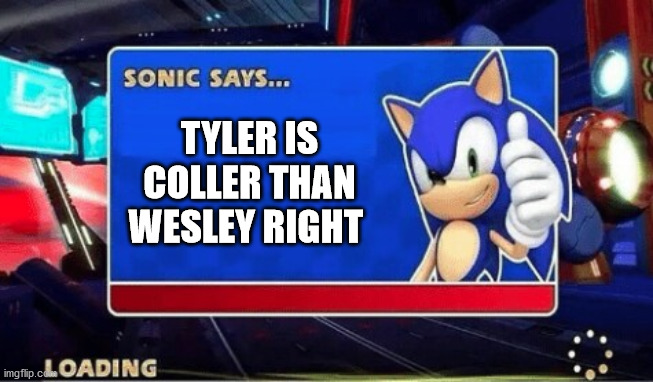 im coooool | TYLER IS COLLER THAN WESLEY RIGHT | image tagged in sonic says | made w/ Imgflip meme maker