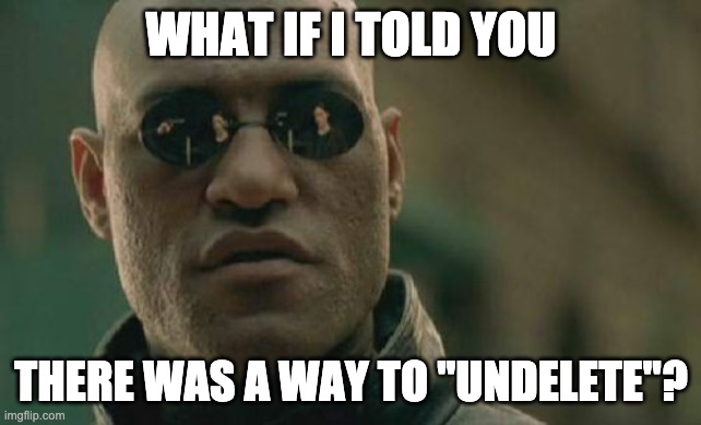 Matrix Morpheus Meme | WHAT IF I TOLD YOU; THERE WAS A WAY TO "UNDELETE"? | image tagged in memes,matrix morpheus | made w/ Imgflip meme maker