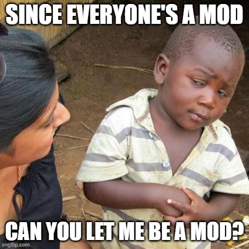 ok please | SINCE EVERYONE'S A MOD; CAN YOU LET ME BE A MOD? | image tagged in memes,third world skeptical kid,mods | made w/ Imgflip meme maker