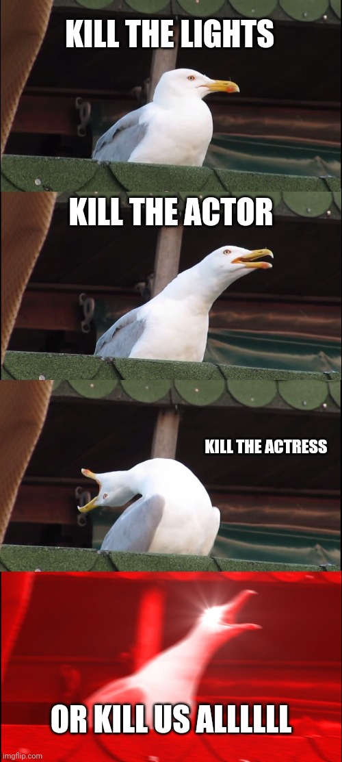 Kill the Lights | KILL THE LIGHTS; KILL THE ACTOR; KILL THE ACTRESS; OR KILL US ALLLLLL | image tagged in memes,inhaling seagull,music | made w/ Imgflip meme maker