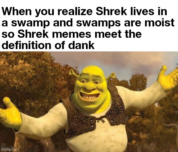 All Shrek memes are dank? | image tagged in memes,dank,shrek,swamp,green,comment | made w/ Imgflip meme maker