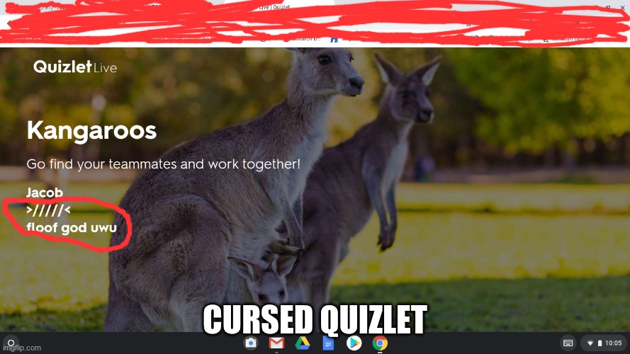 CURSED QUIZLET | image tagged in uwu | made w/ Imgflip meme maker