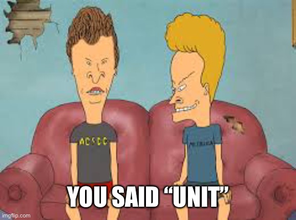 Bevis n Butthead | YOU SAID “UNIT” | image tagged in bevis n butthead | made w/ Imgflip meme maker