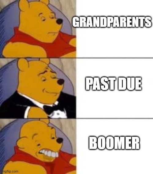 I mean yes but actually no | GRANDPARENTS; PAST DUE; BOOMER | image tagged in winnie the pooh,tuxedo winnie the pooh | made w/ Imgflip meme maker