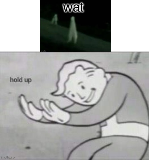 Fallout hold up with space on the top | wat | image tagged in fallout hold up with space on the top | made w/ Imgflip meme maker