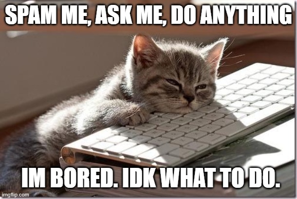 I wanna die but not by boredom. | SPAM ME, ASK ME, DO ANYTHING; IM BORED. IDK WHAT TO DO. | image tagged in bored keyboard cat | made w/ Imgflip meme maker
